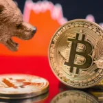 crypto crash 2024? should it worth to invest?